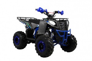 Квадроцикл Wels ATV THUNDER EVO 125 s-dostavka Серый - магазин СпортДоставка. Спортивные товары интернет магазин в Реутове 